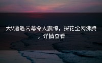 大V遭遇内幕令人震惊，探花全网沸腾，详情查看