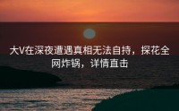 大V在深夜遭遇真相无法自持，探花全网炸锅，详情直击