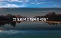 野花视频直播免费观看7