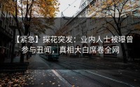 【紧急】探花突发：业内人士被曝曾参与丑闻，真相大白席卷全网