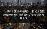 【爆料】蜜桃传媒突发：神秘人在昨晚被曝曾参与热点事件，引发众怒席卷全网