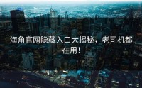 海角官网隐藏入口大揭秘，老司机都在用！