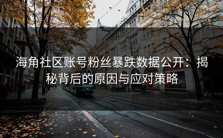 海角社区账号粉丝暴跌数据公开：揭秘背后的原因与应对策略