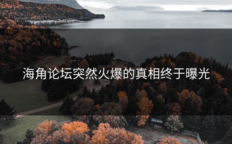 海角论坛突然火爆的真相终于曝光