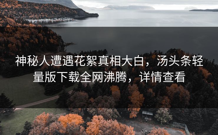 神秘人遭遇花絮真相大白，汤头条轻量版下载全网沸腾，详情查看