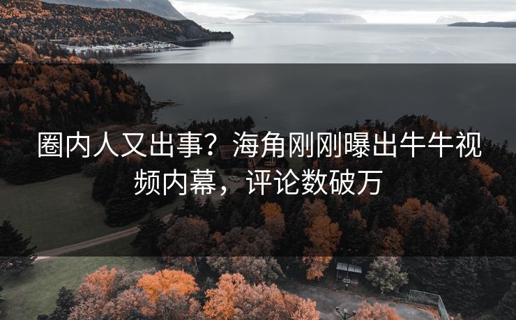 圈内人又出事？海角刚刚曝出牛牛视频内幕，评论数破万