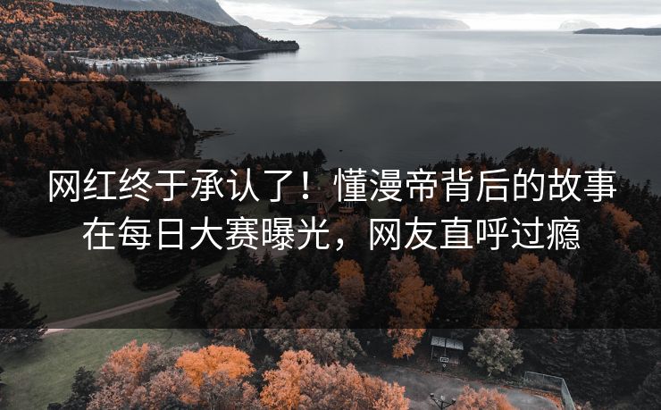 网红终于承认了！懂漫帝背后的故事在每日大赛曝光，网友直呼过瘾